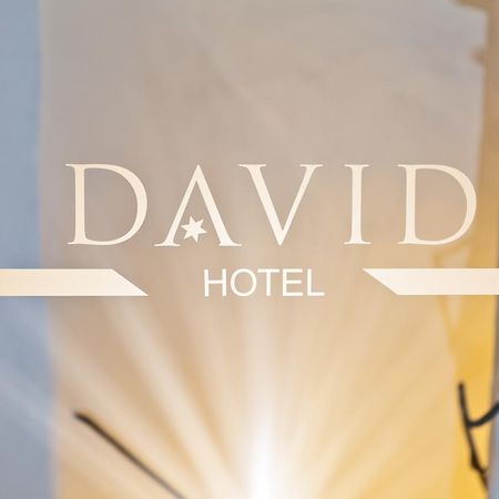 רגנסבורג Hotel David An Der Donau מראה חיצוני תמונה